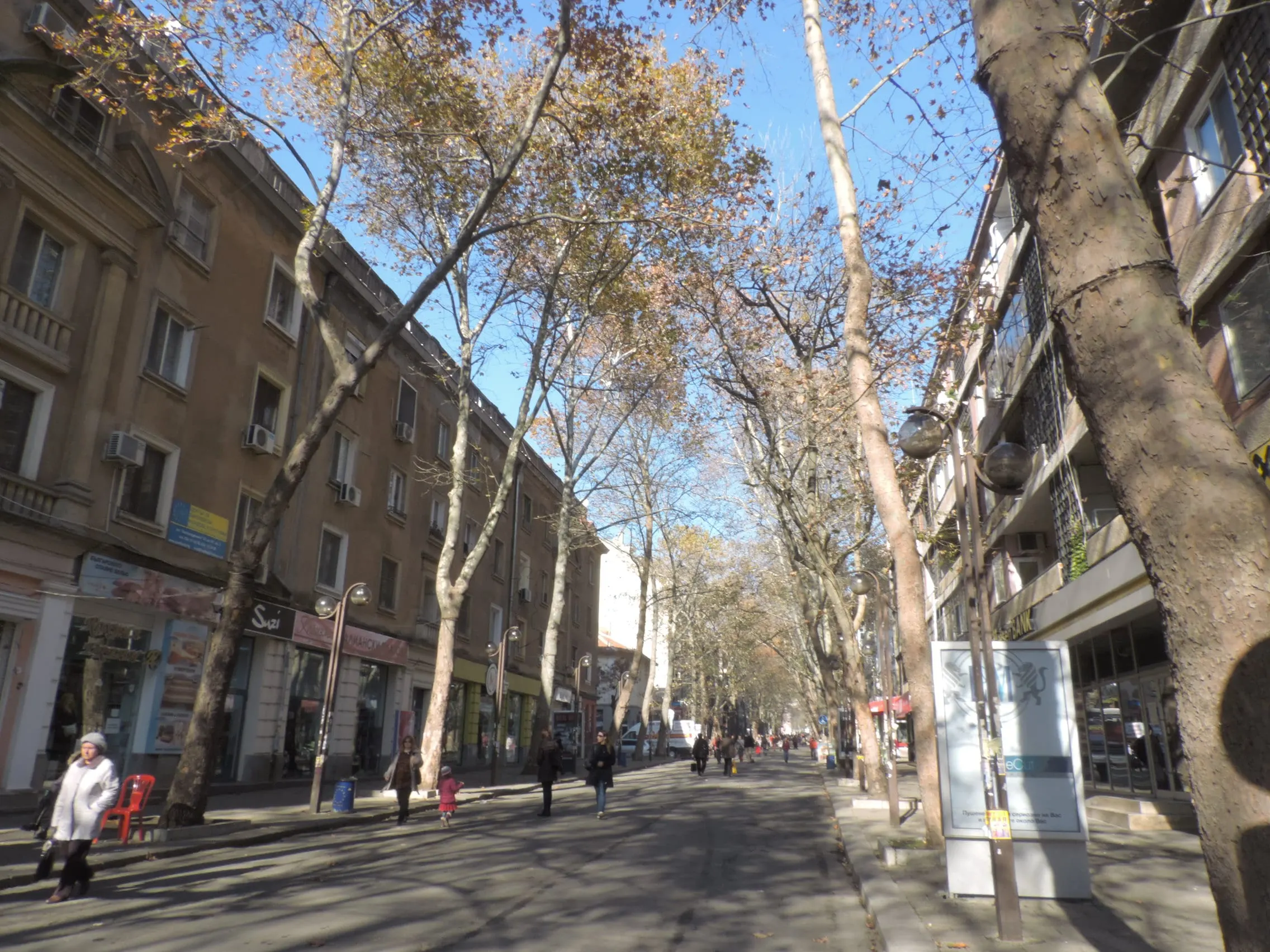 Plane trees and shops along the pedestrianised Alexandrovska street in Burgas
