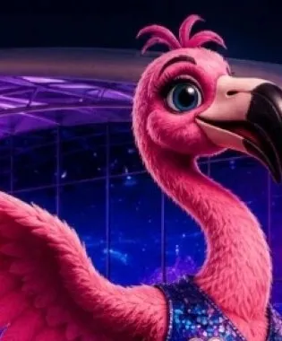 FLAMI: a bright pink cartoon flamingo in a sparkling waistcoat