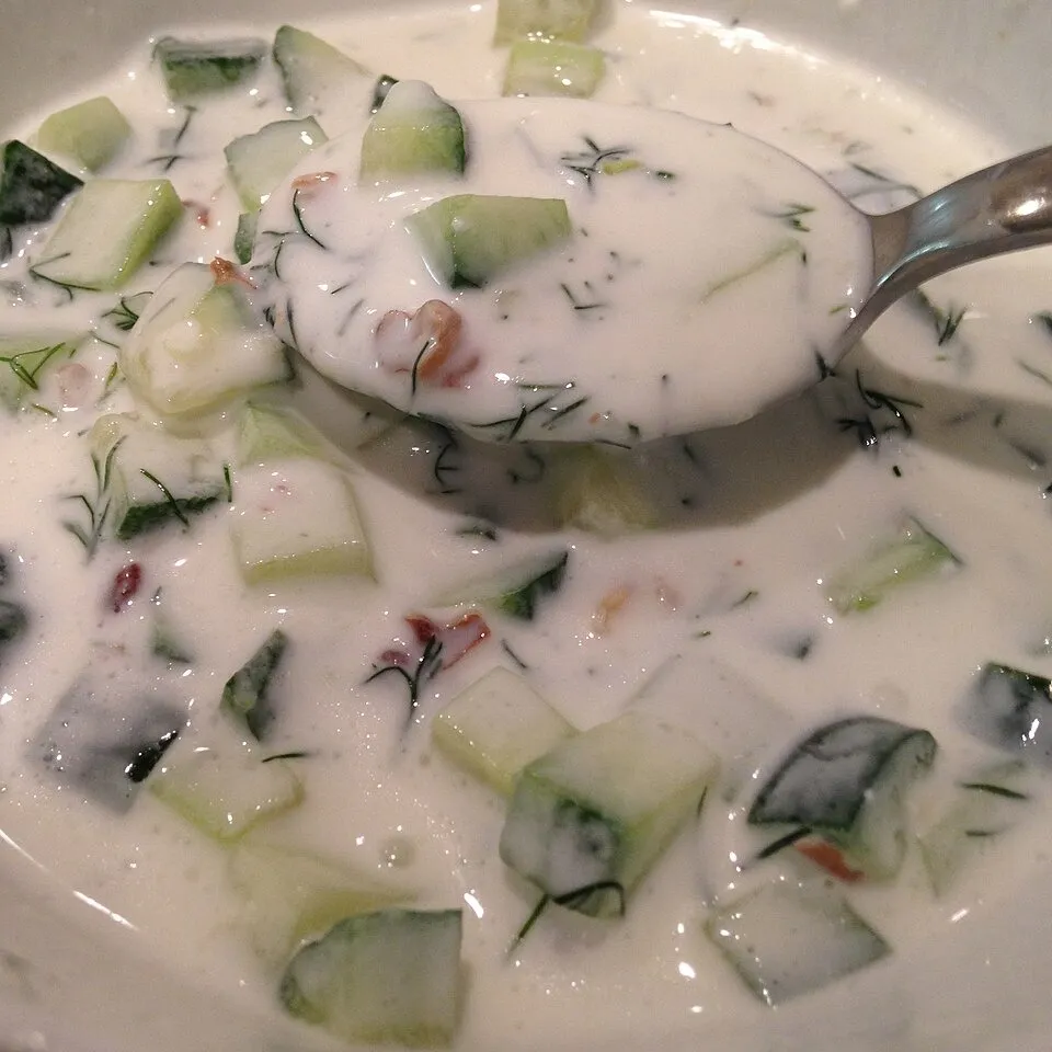 A bowl of tarator: cold cucumber and yoghurt soup with dill and walnuts